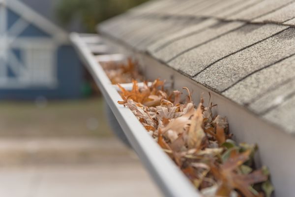 Leaf Barrier Installation in Rockville